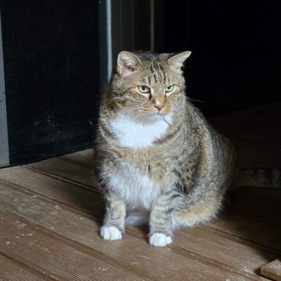 ohseho1122's profile picture. 