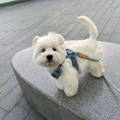 Olivia776655's profile picture. 🌟 Chasing dreams, capturing moments |