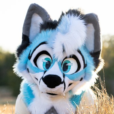 CybrFur's profile picture. 21 | You can call me "Cy/Cybr/Cybie" Everythings bigger in Texas including my closet. | 🧵 @sheenitude