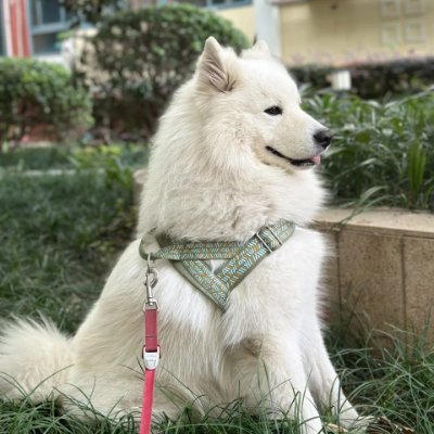 Mabel48516's profile picture. Through culture, humanity speaks across time, leaving a legacy of wisdom, creativity, and resilience for the future. 🌿