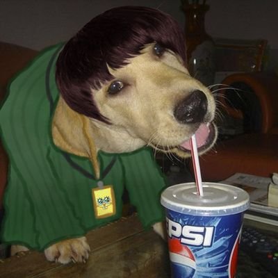 pepsidogonline's profile picture. Stand up beside the fireplace
Take that look from off your face