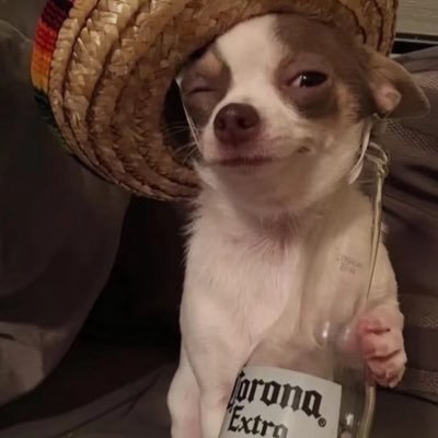 LizbethDeAlba3's profile picture. 