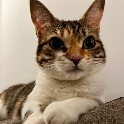 micaeteddie's profile picture. 