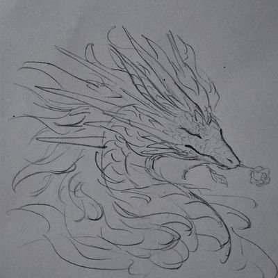 xqun136320's profile picture. 汉语/English 正在学习Italiano/Español/Françias 爱好：化学 生物 绘画（furry和龙）诗词 英文书法 编曲＆音乐