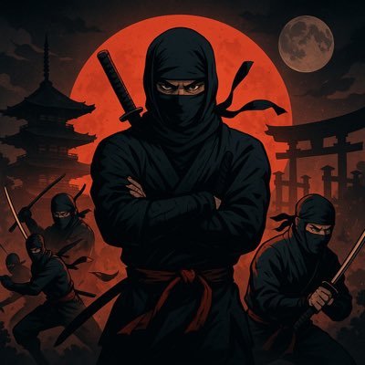 0xAlphaNinja's profile picture. Trench Degen Slayer | IT engineer | 2100 elo ♟
