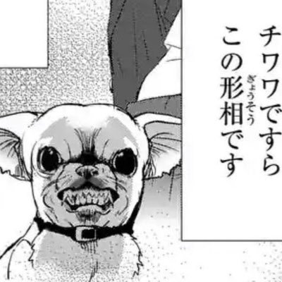 karaageinthesky's profile picture. 