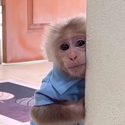 explict_cai's profile picture. reclamação, humor e pornografia (ênfase na pornografia) ♒️ 🔞