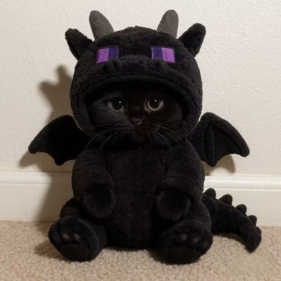 MIWCAT_COIN's profile picture. MEOWCAT - The Cutest Meme Coin 🐱 ! Building the most adorable crypto community ✨ LP Locked | 📈 @pumpdotfun 👇  https://t.co/441xD8mdjA