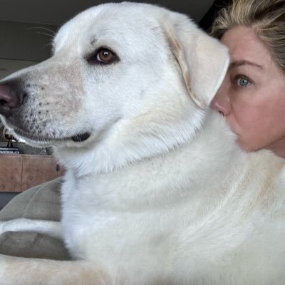 AnistonJen10722's profile picture. THIS IS MY OFFICIAL TWITTER ACCOUNT — CAN’T WAIT TO CONNECT WITH ALL MY AMAZING FANS AROUND THE WORLD 🌎