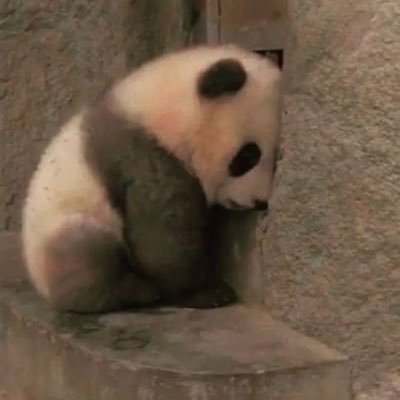 _msnmay's profile picture. don’t be changed