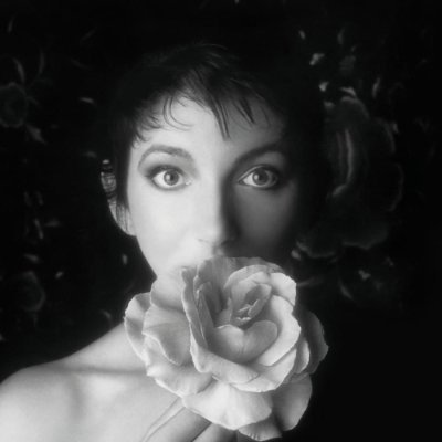 CorenswetsSlut's profile picture. Favorite Album:
After Laughter
Petals for Armor
Vespertine
Vulnicura
Fetch the Bolt Cutter
The Idler Wheel...
The Dreaming
Hounds of Love