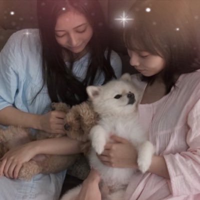 Momonogi460312's profile picture. よだなぎ姉妹推し 他の推しは固定ツイに記載！ 野球も好きで呟きます！物心ついた頃から巨人ファン！大阪在住 2025年8月20日沈黙ヒストリーメンバー加入