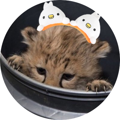 whitepappuri's profile picture. 뭔미니스트