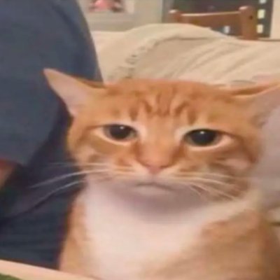 JufanHasan's profile picture. 