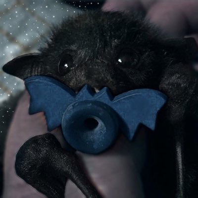 @DirtyMindedBat