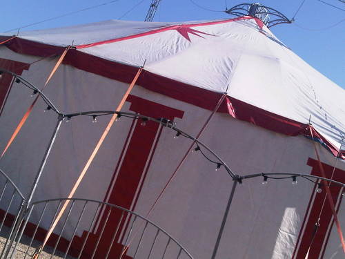 festivalcumulus's profile picture. 