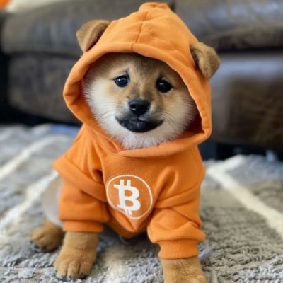 @d0gofbitcoin