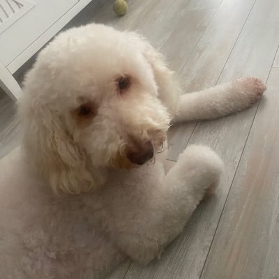 JH3804776853625's profile picture. 