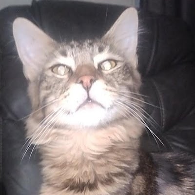 JWise137287's profile picture. 