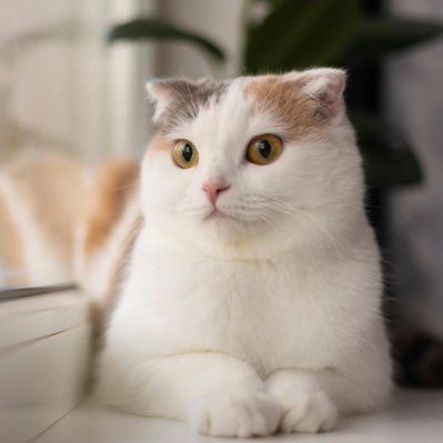 kasougenditu's profile picture. n=1 高校から1浪の10月12までずっと遊んじゃってて初学みたいになった受験生です。勉強開始10月14日　勉強勉強界隈で一番偏差値低いかも？ そんな自分が医学部目指してます😅自分はみなさんの幸福を祈ってます…。