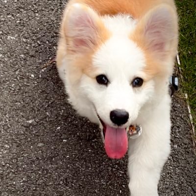 wjw1067969's profile picture. 