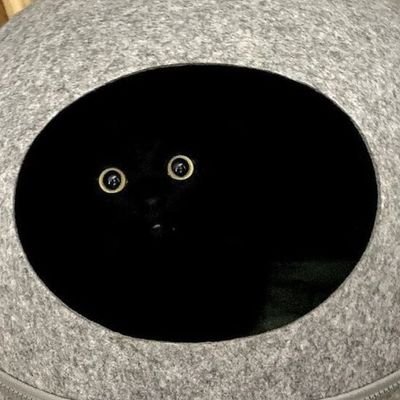 HariRay_U_U's profile picture. 하리 Hari ハリ|성인|1차&2차|커뮤러, 티알러|h : 마루네님|Fub Free|티알계 @HariTio_TRPG|뒷계 겸 꾸금계 @HariRay_Bigye|메인트에 비상 연락처