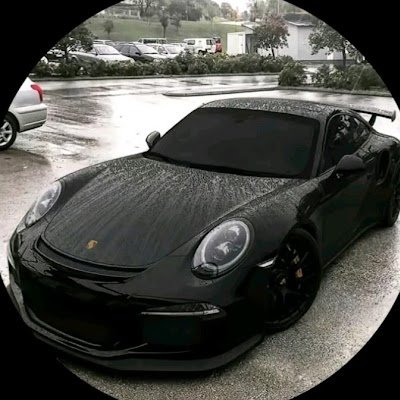 RMoreira44967's profile picture. 