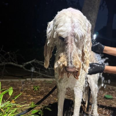 Pagan36370Jason's profile picture. 