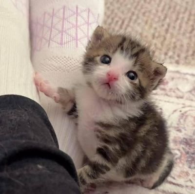 hanna2002529149's profile picture. Aveces subo dibujos otras veces me deprimo/ 23 años / 🇨🇴