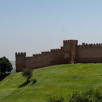 saalah_7's profile picture. 🇲🇦🇵🇸