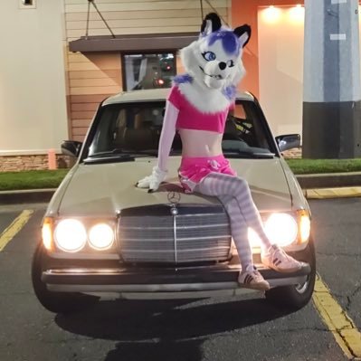 Spazzyfloof's profile picture. 
