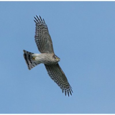 Lottie00552's profile picture. 👑 Attitude & Confidence                                                     🌍 Ambitious & Positive