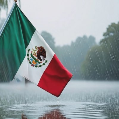Leticia23475258's profile picture. Jalisco se cuece aparte #SeTeniaQueDecirYSeDijo #JaliscoSinMorena 🧡