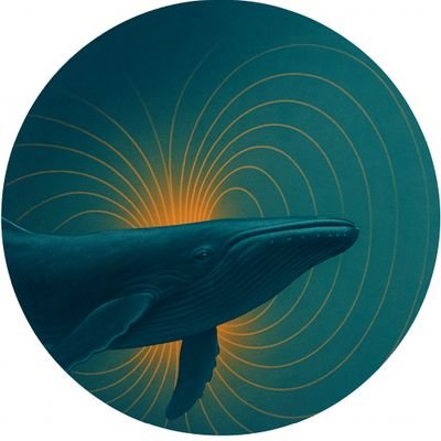 ThomasMitc85131's profile picture. Cracking the code of tension beneath all things. Originator of The Mitchell Equation. Where charge flows, life follows.