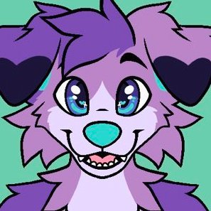 kuiper_collie's profile picture. 