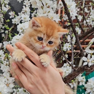 dainaIsStill's profile picture. Live life to the fullest, and focus on the positive🙂😊