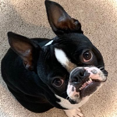 Josh_Hubman's profile picture. 