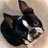 Josh_Hubman's profile image