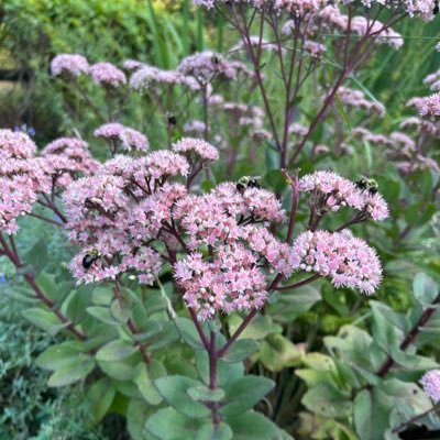 bothofus7's profile picture. Wife, Mother, Christian, Book Nerd. Fan of politics, sarcasm, good grammar, and cute baby animals. Funny meme thief.