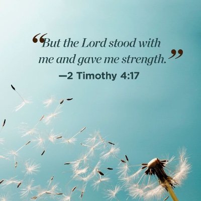 Daniell36123247's profile picture. 