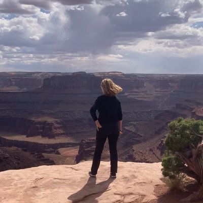 Bluzforever's profile picture. “In life, all good things come hard, but wisdom is the hardest to come by.” - -Lucille Ball Trump/MAGA