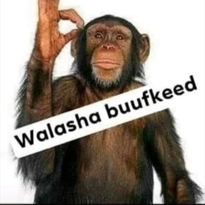 XoosadeE's profile picture. A Somalian patriot:full of SPIRIT,WILL,MILITANCY: May Allah make Somalia Great Again:🇸🇴🇸🇴🇸🇴🇸🇴🇸🇴🇸🇴🇸🇴🇸🇴🇸🇴