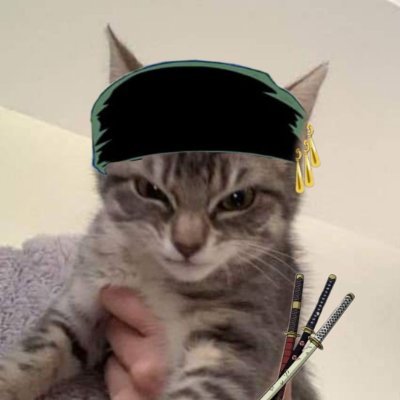 hubzify's profile picture. occasional runner spawner