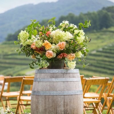 WilsonD342166's profile picture. I wish I had lots of brothers 
Be the good you want to see in the world ☺️🙂