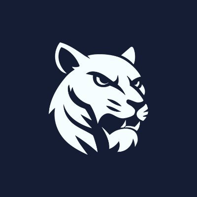blaronn's profile picture. 🎨 Visual Communication Designer @eternalfiregg @velune_ai | 📧 Contact: DM or blaronn.contact@gmail.com
