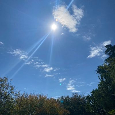 emredemiroze's profile picture. 