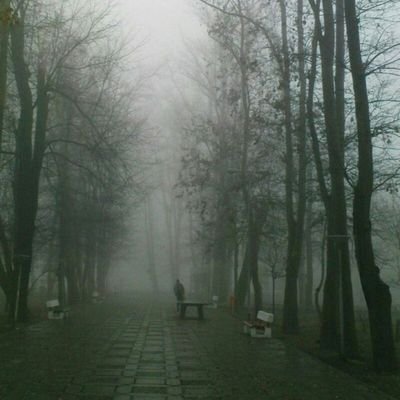 arast22594's profile picture. 