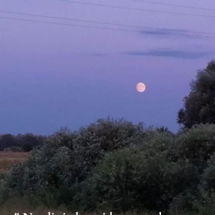 Alyaykay's profile picture. Ülken yok senin