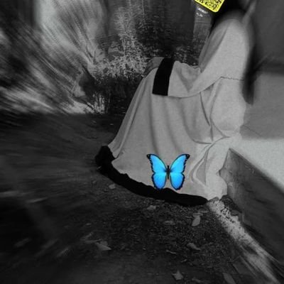 roq__ya's profile picture. .