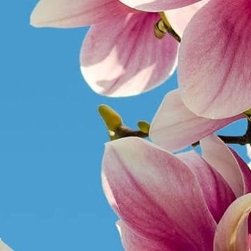 Georgia146690's profile picture. 